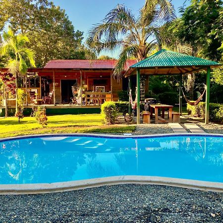 Uvita Oasis Retreat With Villa Cabins And Apartment Kültér fotó