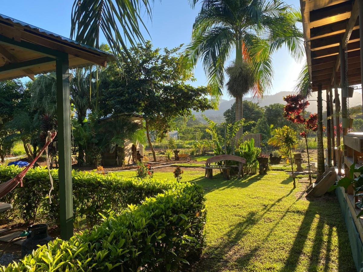 Uvita Oasis Retreat With Villa Cabins And Apartment Kültér fotó