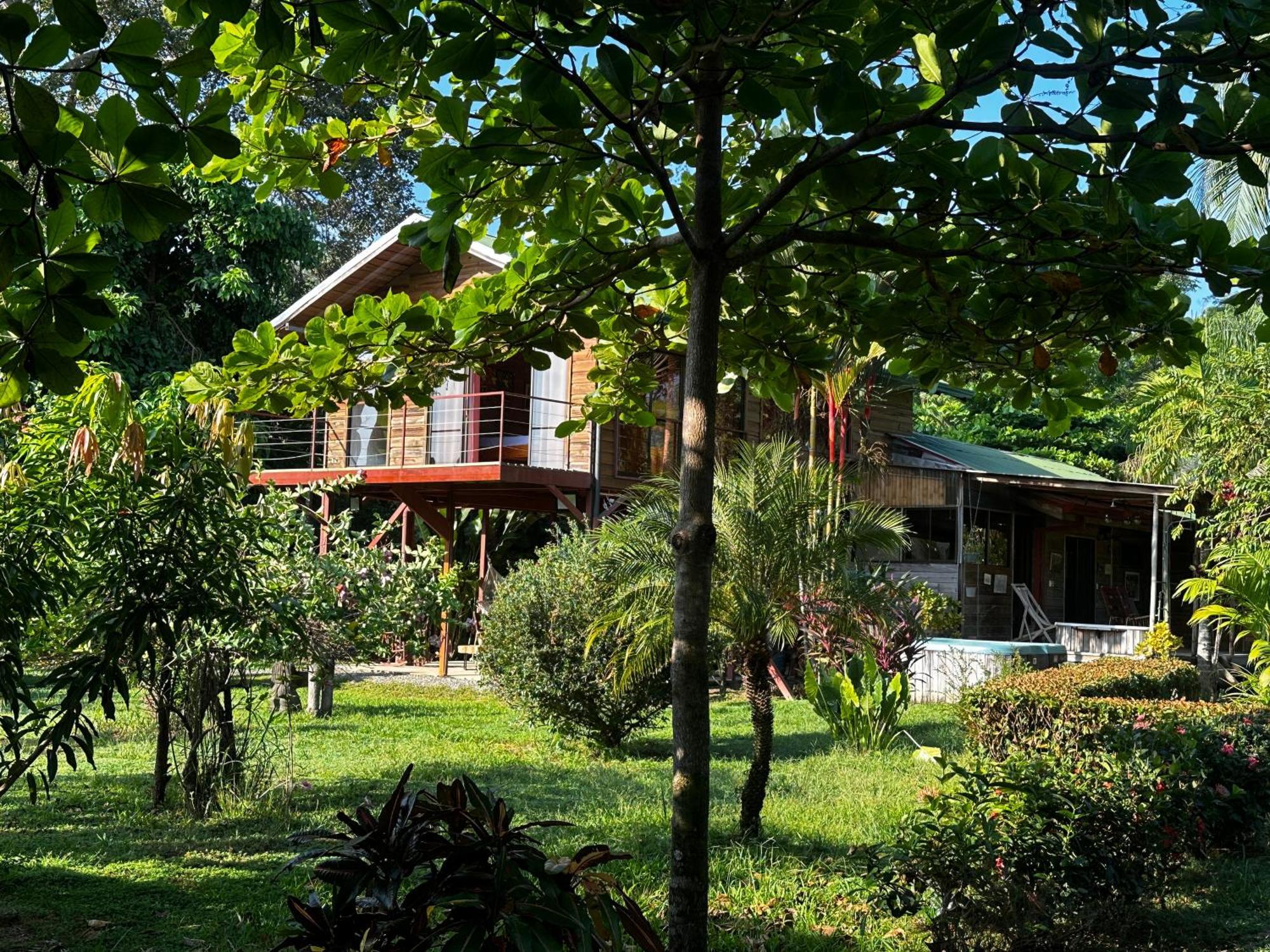 Uvita Oasis Retreat With Villa Cabins And Apartment Kültér fotó