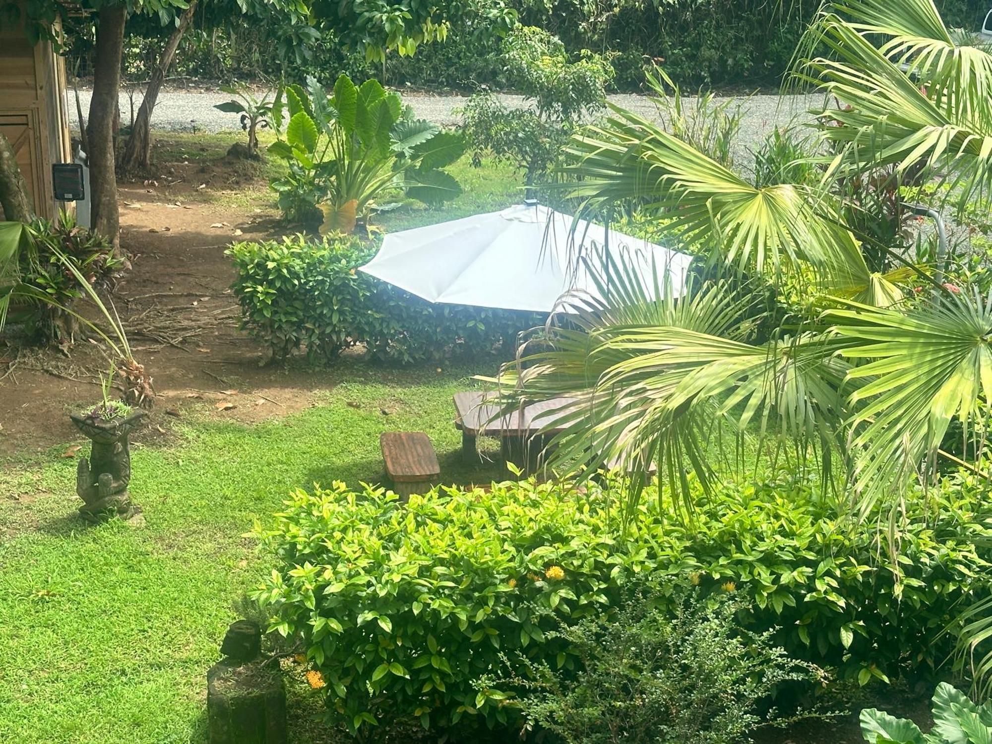 Uvita Oasis Retreat With Villa Cabins And Apartment Kültér fotó