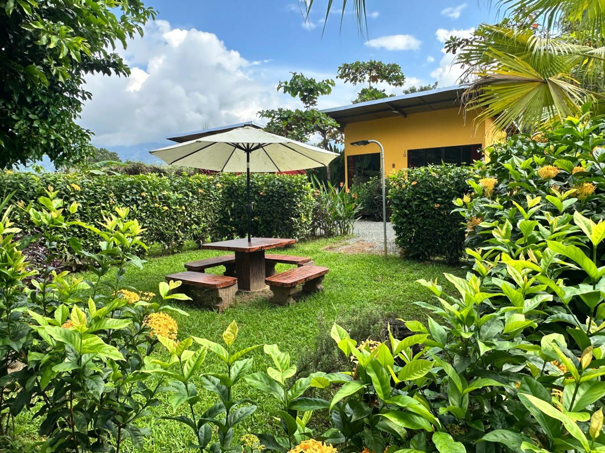 Uvita Oasis Retreat With Villa Cabins And Apartment Kültér fotó