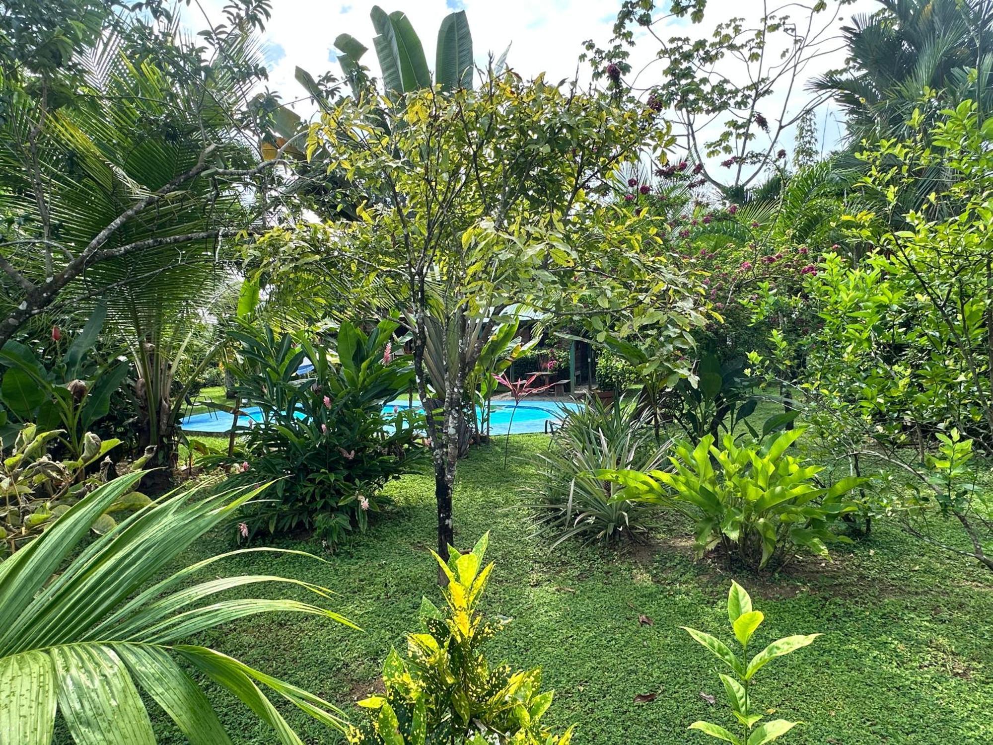Uvita Oasis Retreat With Villa Cabins And Apartment Kültér fotó